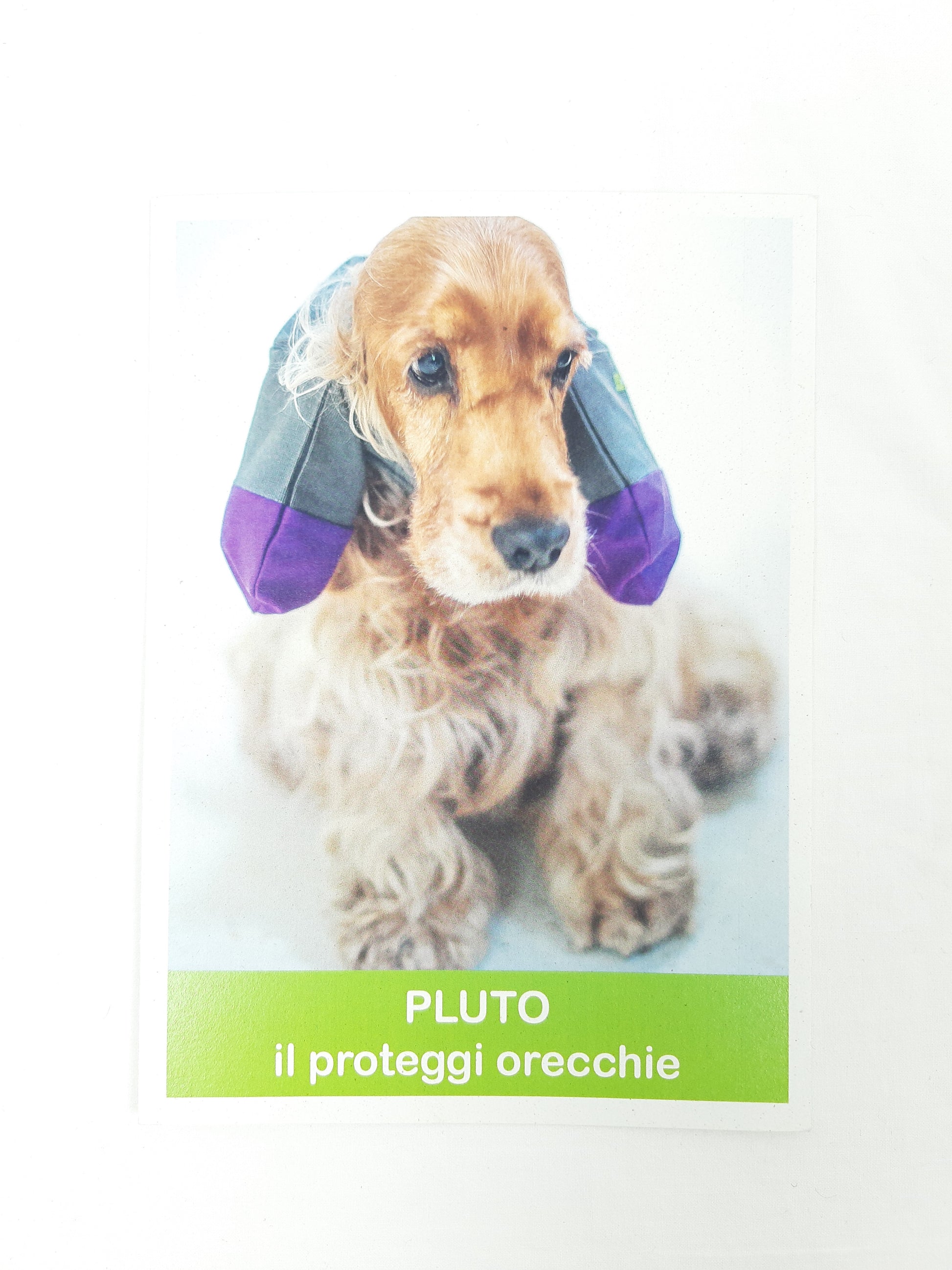 PROTEGGI ORECCHIE TECNICO VIOLA