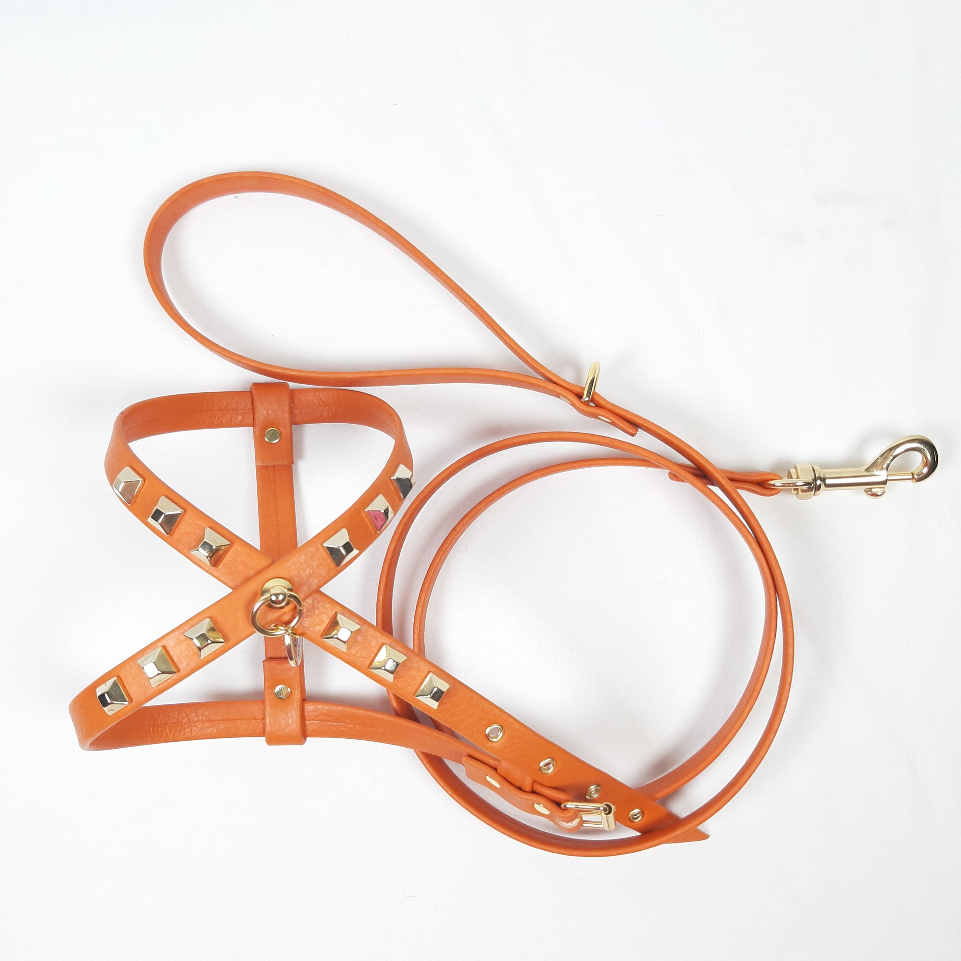 SET PETTORINA E GUINZAGLIO GLAM ARANCIONE