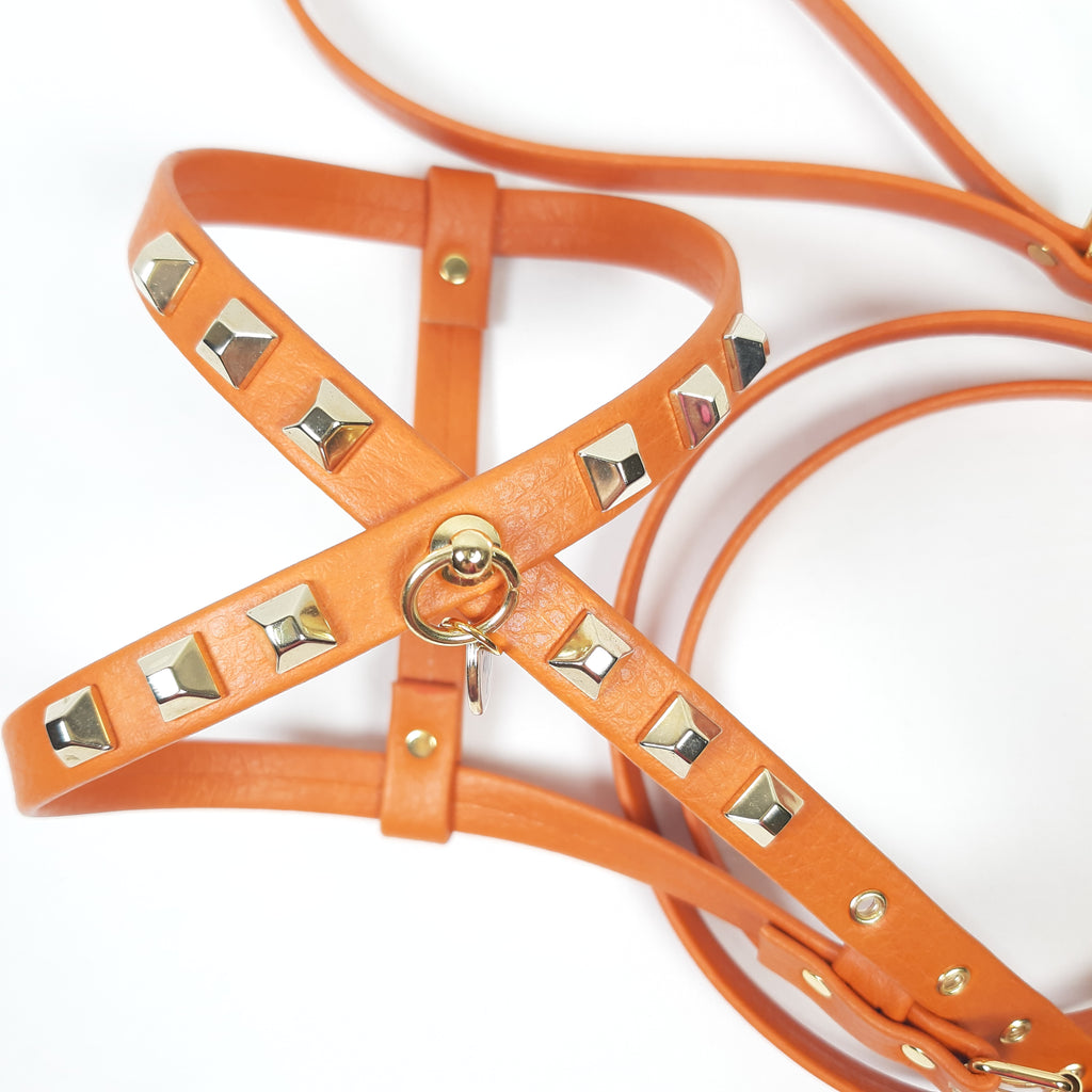 SET PETTORINA E GUINZAGLIO GLAM ARANCIONE