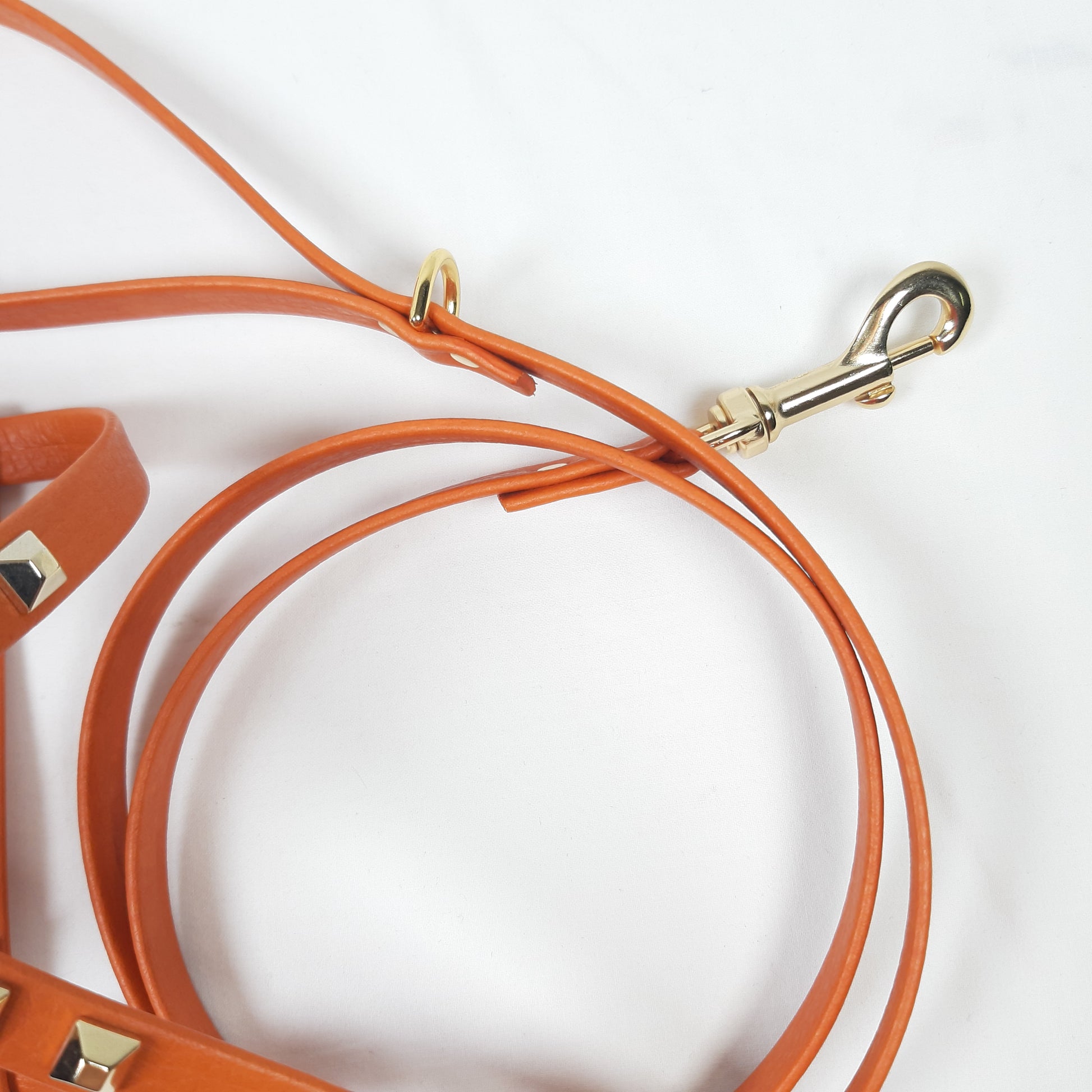 SET PETTORINA E GUINZAGLIO GLAM ARANCIONE