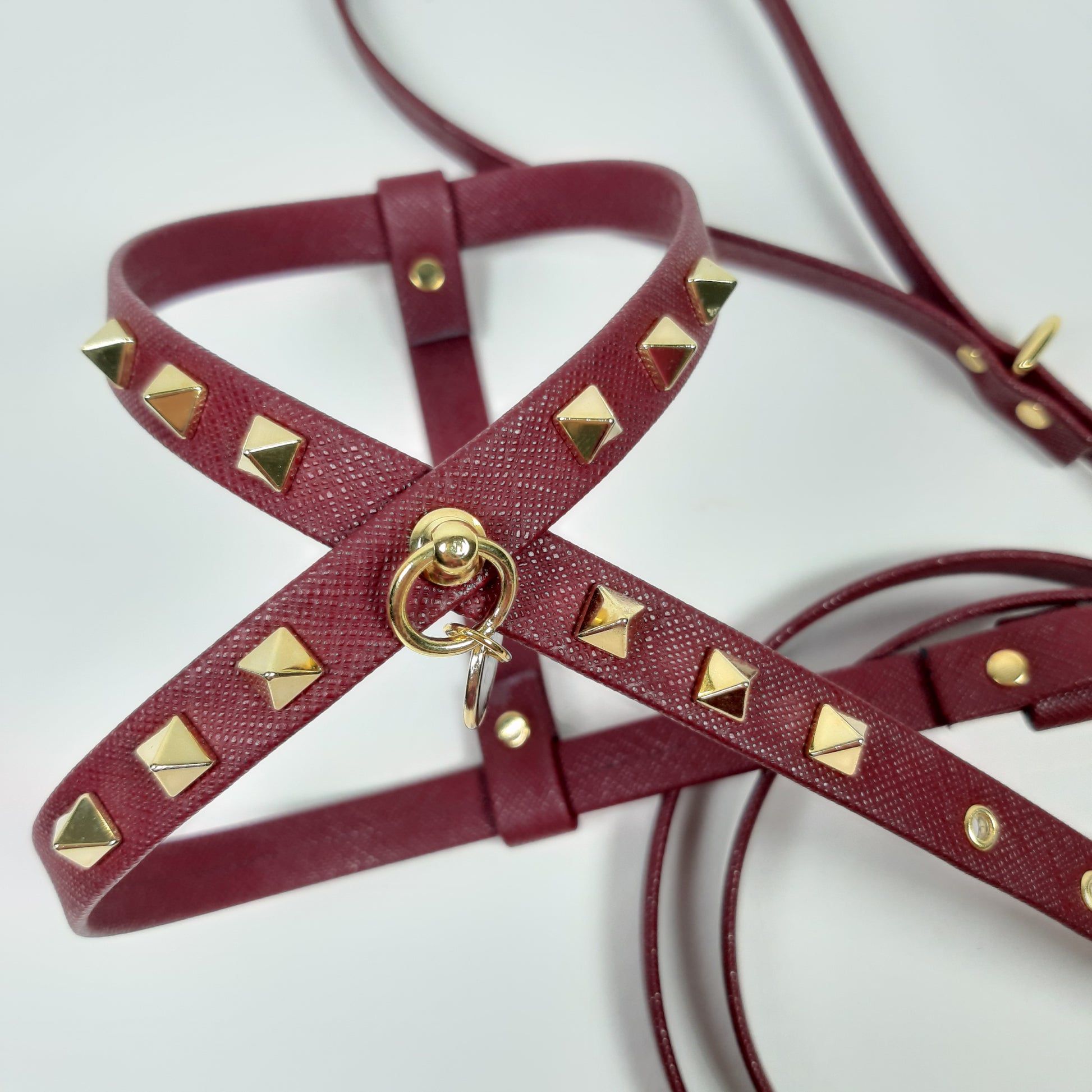 SET PETTORINA E GUINZAGLIO GLAM BORDEAUX