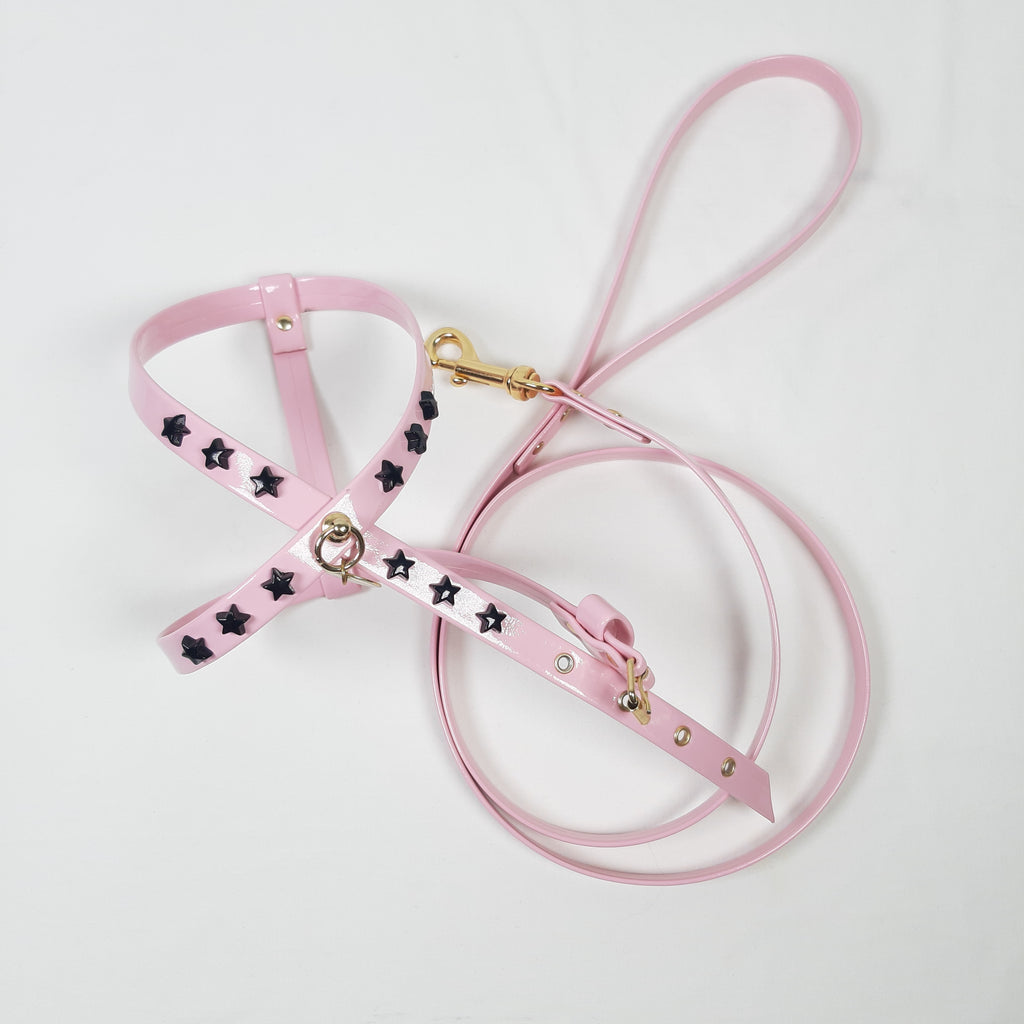 SET PETTORINA E GUINZAGLIO GLAM VERNICE ROSA