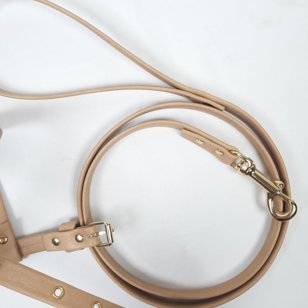 SET PETTORINA E GUINZAGLIO GLAM CAMMELLO