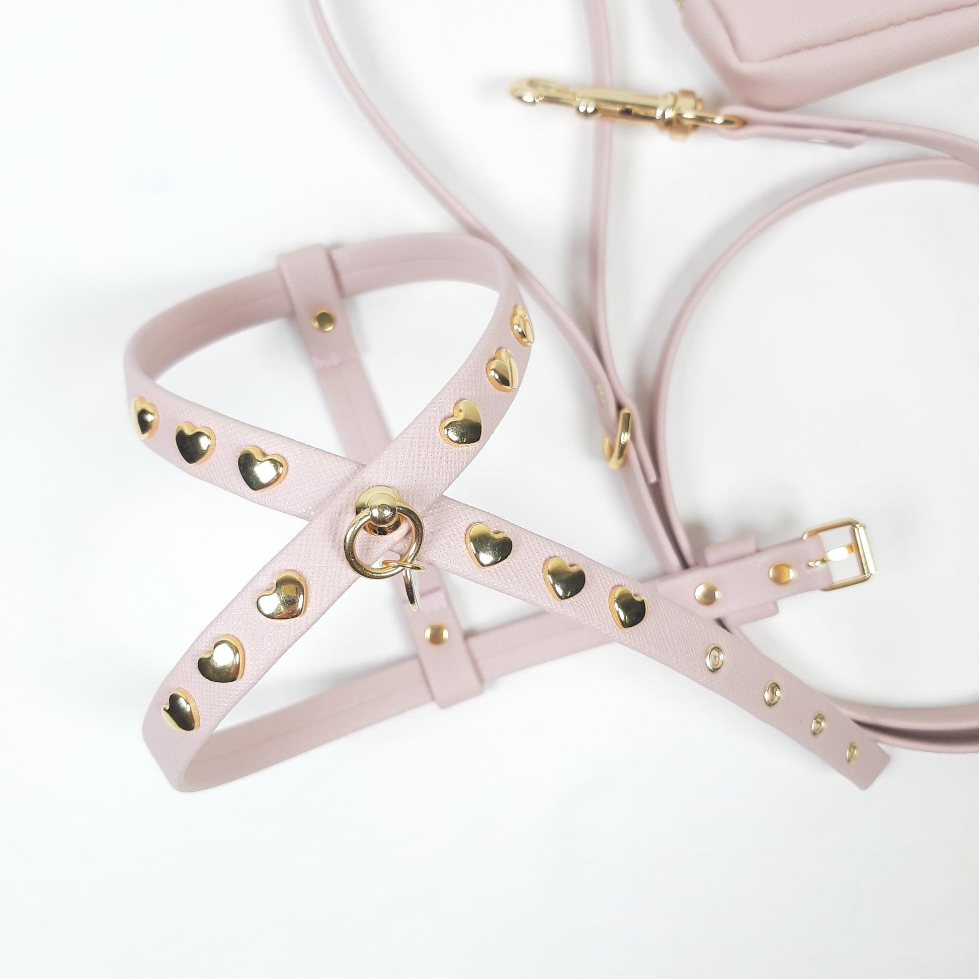 SET PETTORINA E GUINZAGLIO GLAM ROSA CIPRIA