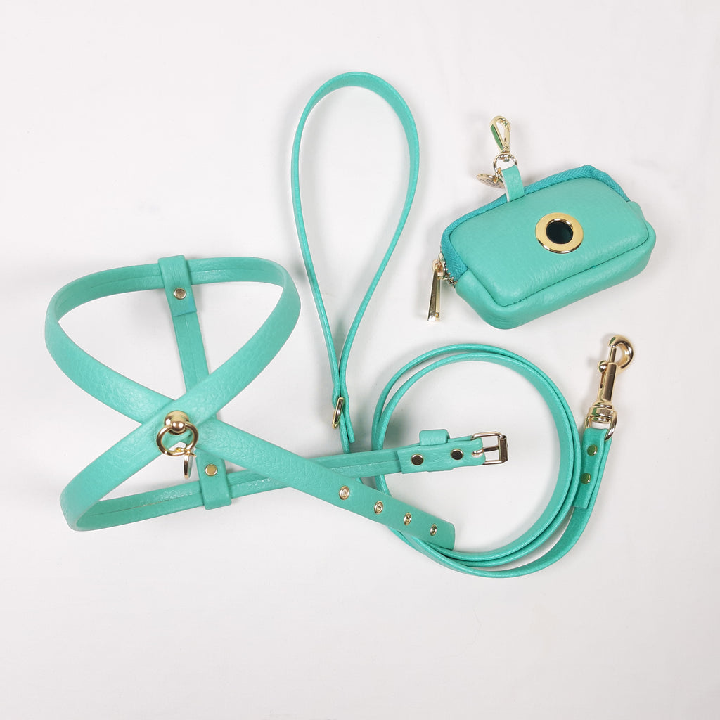 SET PETTORINA E GUINZAGLIO BASIC TIFFANY