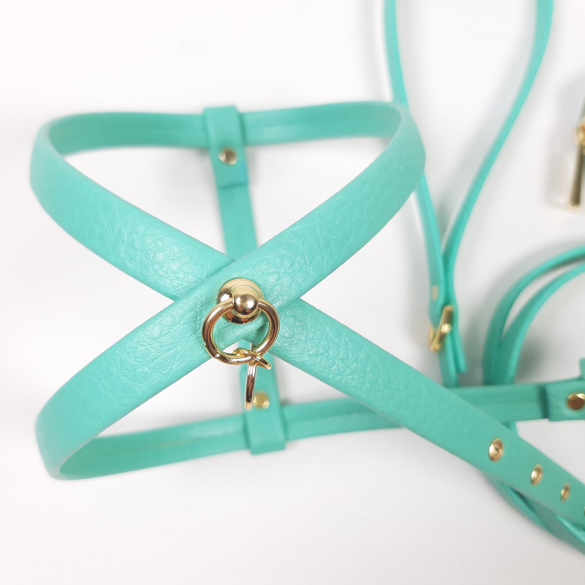 SET PETTORINA E GUINZAGLIO BASIC TIFFANY