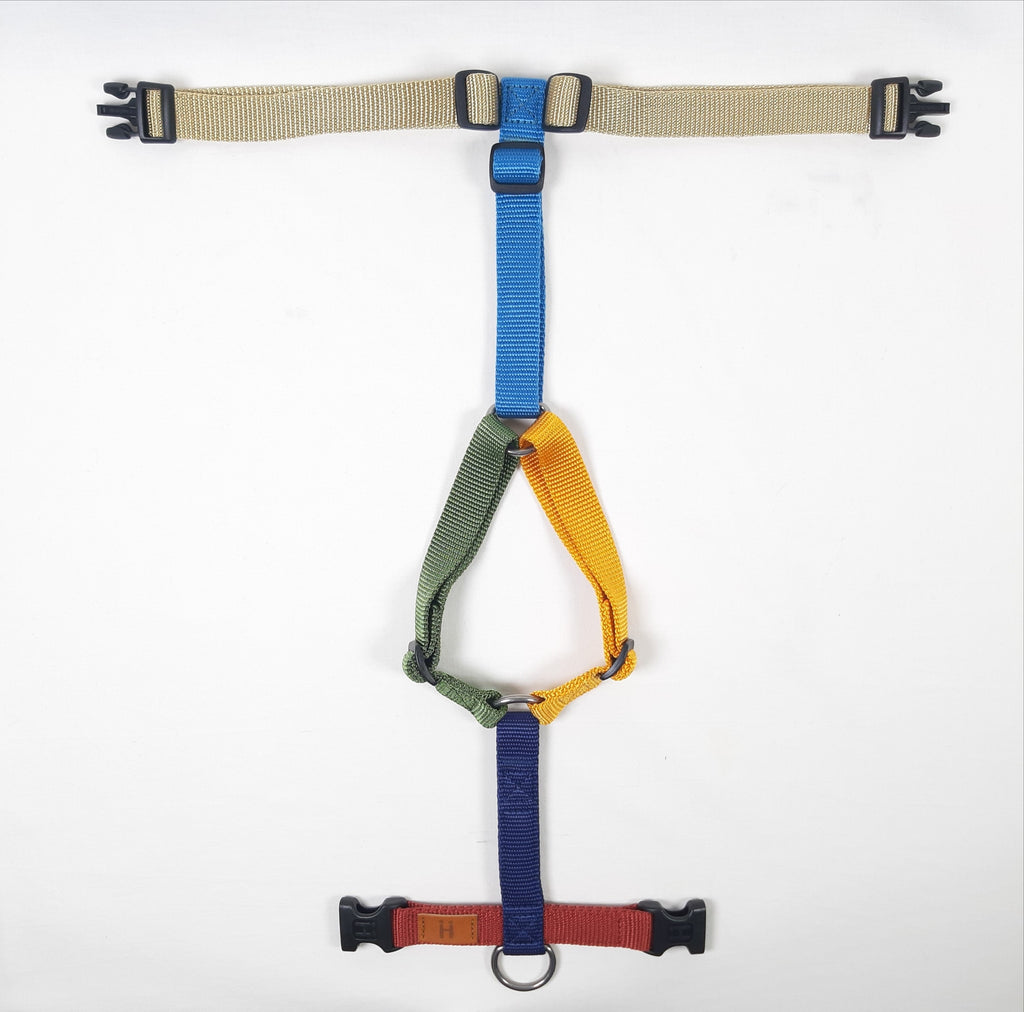 PETTORINA AD H MULTICOLOR