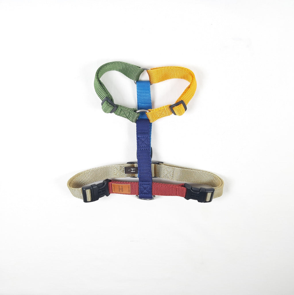 PETTORINA AD H MULTICOLOR