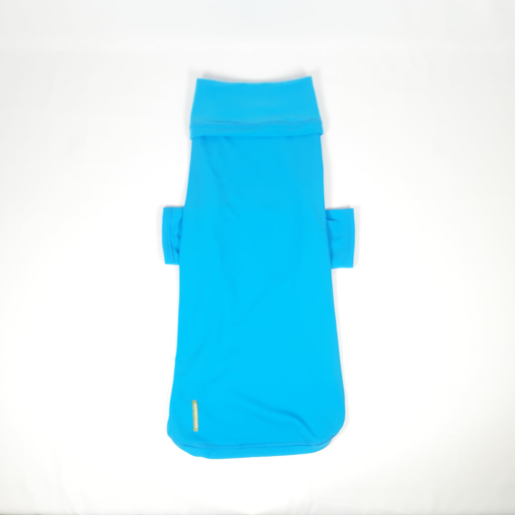 MAGLIA TECNICA GINGERBREAD AZZURRO