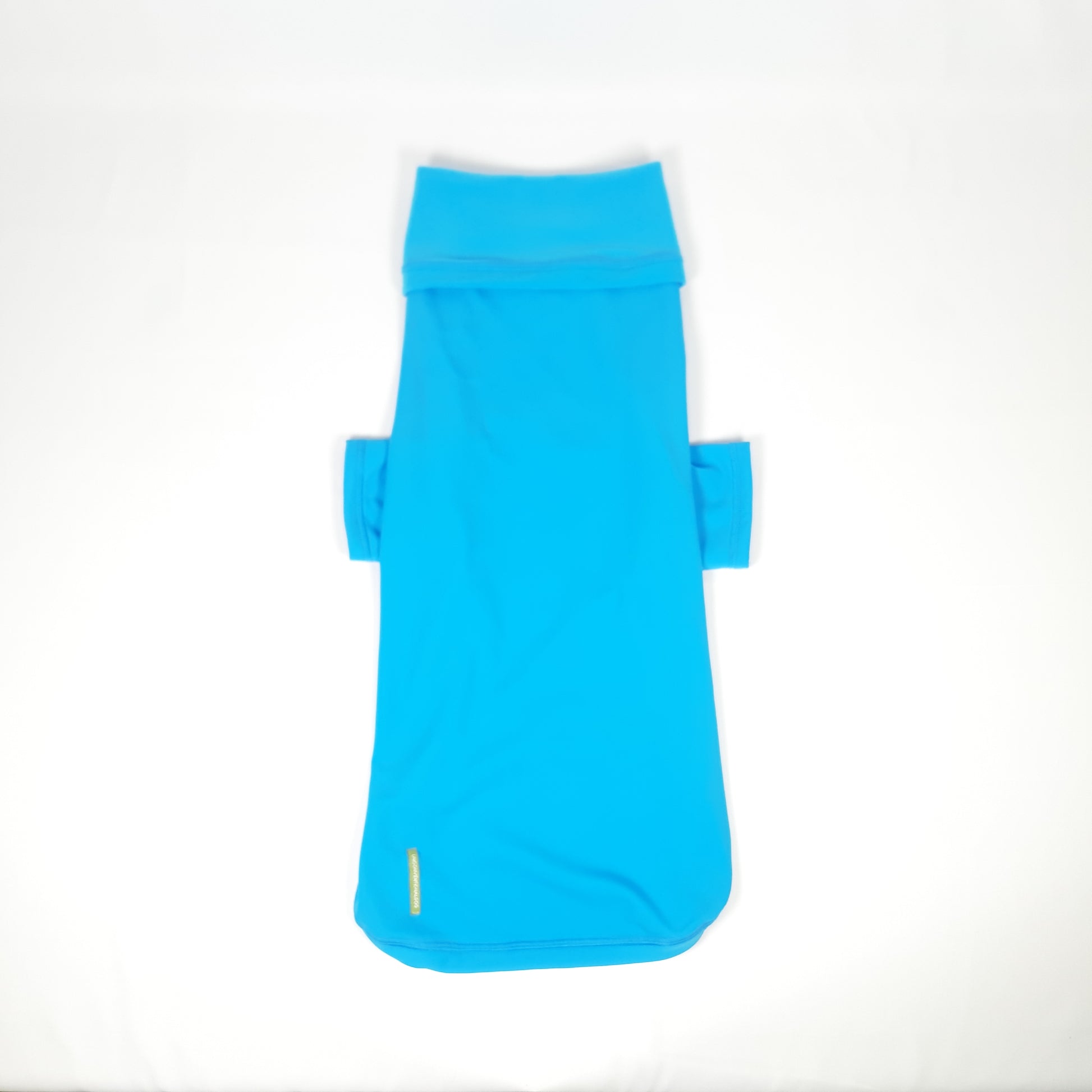 MAGLIA TECNICA GINGERBREAD AZZURRO