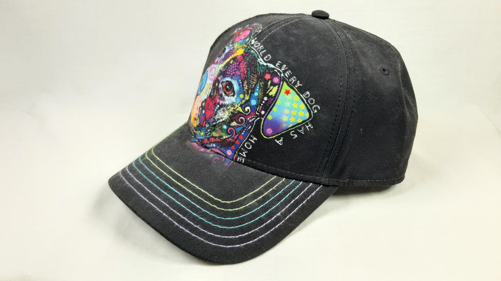 CAPPELLO "IN A PERFECT WORLD"