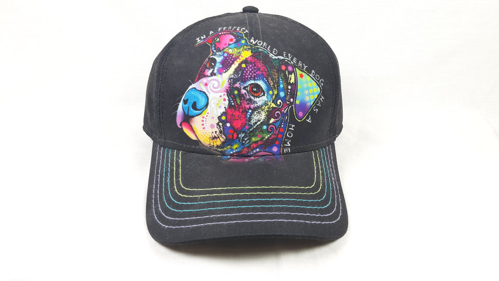 CAPPELLO "IN A PERFECT WORLD"