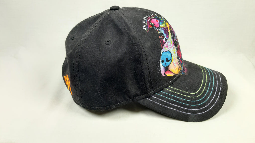 CAPPELLO "IN A PERFECT WORLD"