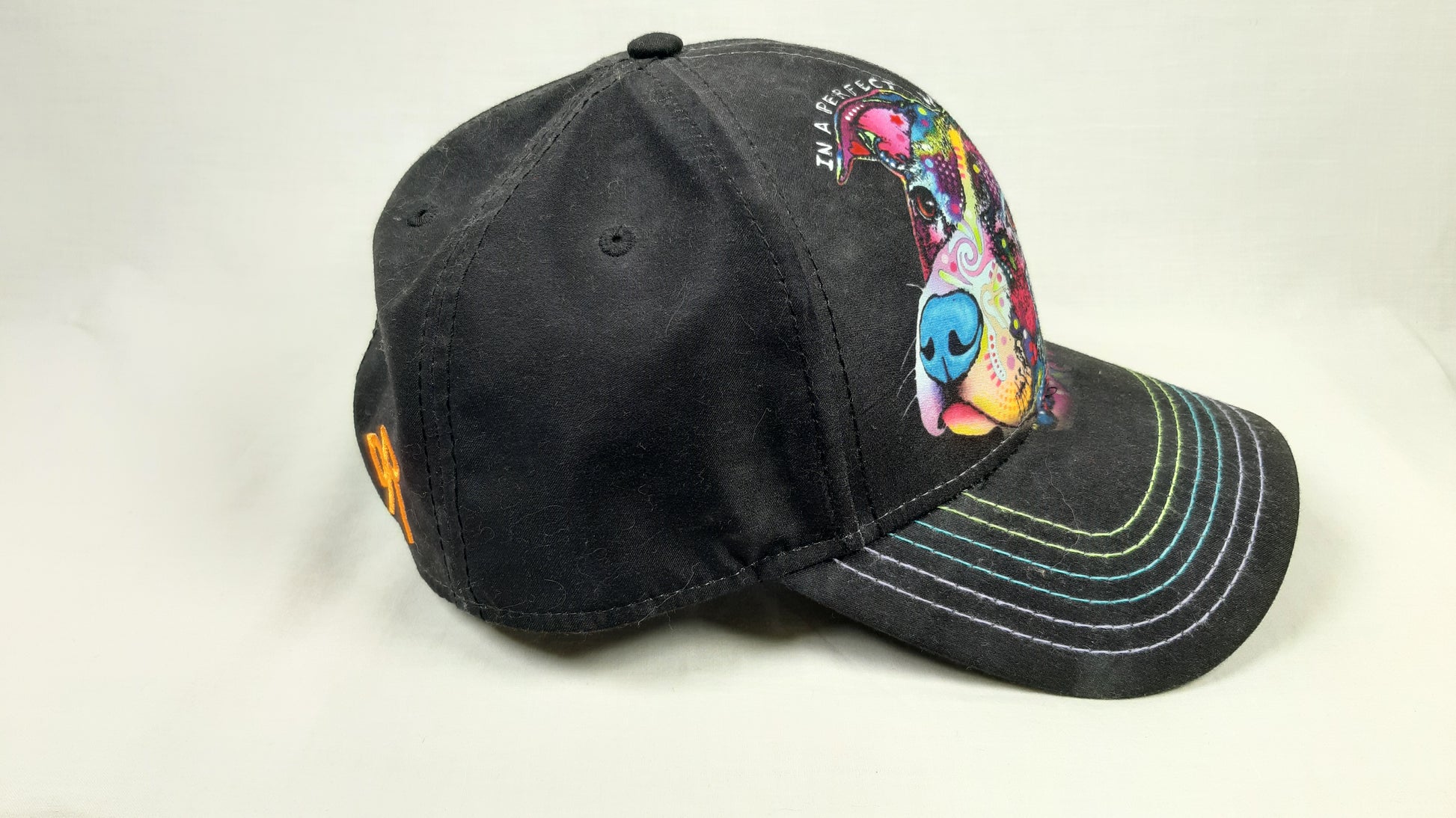 CAPPELLO "IN A PERFECT WORLD"