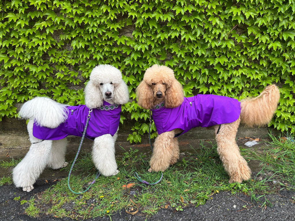 IMPERMEABILE IN TESSUTO TECNICO EVERYDAY FUCSIA