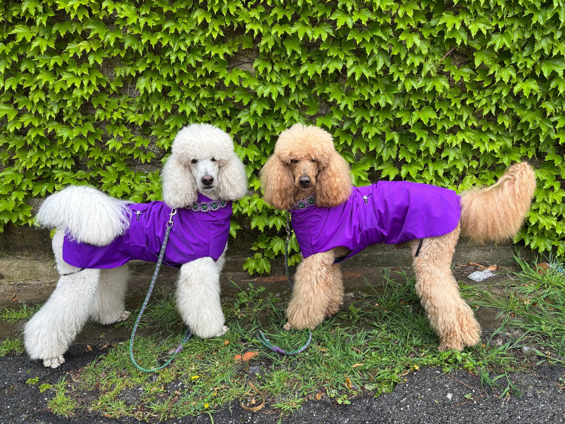 IMPERMEABILE IN TESSUTO TECNICO EVERYDAY NERO